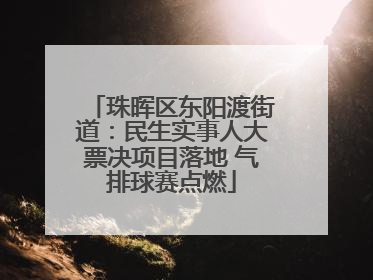 珠晖区东阳渡街道：民生实事人大票决项目落地 气排球赛点燃
