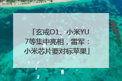 玄戒O1、小米YU7等集中亮相，雷军：小米芯片要对标苹果