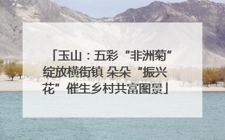 玉山：五彩“非洲菊”绽放横街镇 朵朵“振兴花”催生乡村共富图景