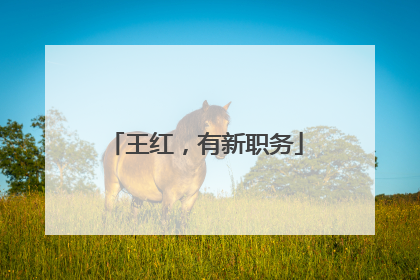王红，有新职务