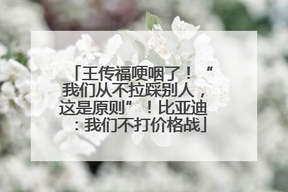 王传福哽咽了！“我们从不拉踩别人，这是原则”！比亚迪：我们不打价格战