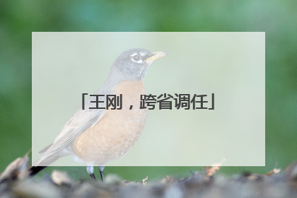王刚，跨省调任