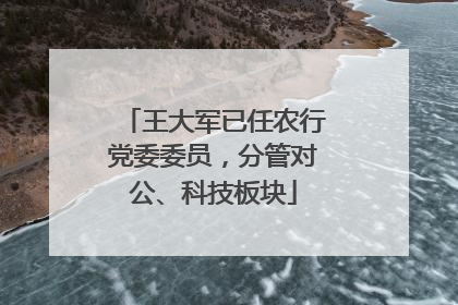 王大军已任农行党委委员，分管对公、科技板块