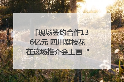 现场签约合作136亿元 四川攀枝花在这场推介会上画“图谱”列“清单”