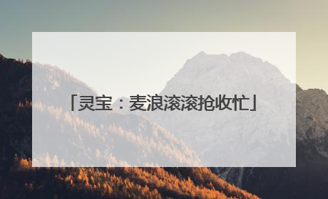 灵宝：麦浪滚滚抢收忙