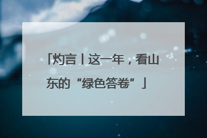 灼言丨这一年，看山东的“绿色答卷”