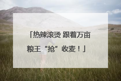热辣滚烫 跟着万亩粮王“抢”收麦！