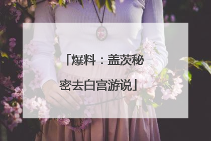 爆料：盖茨秘密去白宫游说