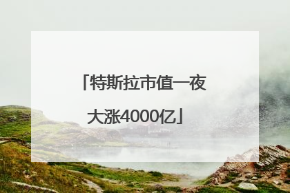 特斯拉市值一夜大涨4000亿
