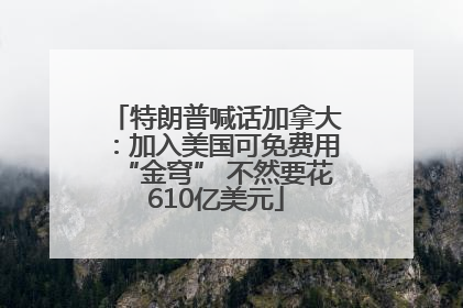 特朗普喊话加拿大：加入美国可免费用“金穹” 不然要花610亿美元