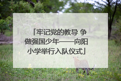 牢记党的教导 争做强国少年——向阳小学举行入队仪式