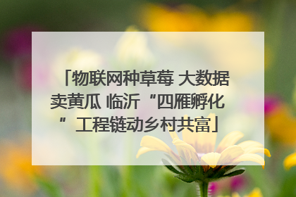 物联网种草莓 大数据卖黄瓜 临沂“四雁孵化”工程链动乡村共富