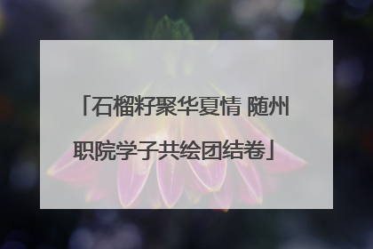石榴籽聚华夏情 随州职院学子共绘团结卷