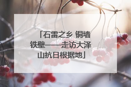 石雷之乡 铜墙铁壁——走访大泽山抗日根据地