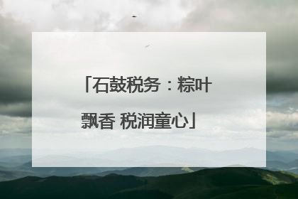 石鼓税务：粽叶飘香 税润童心