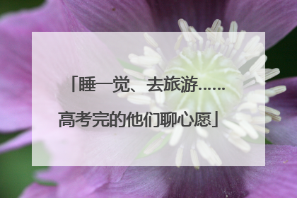睡一觉、去旅游……高考完的他们聊心愿