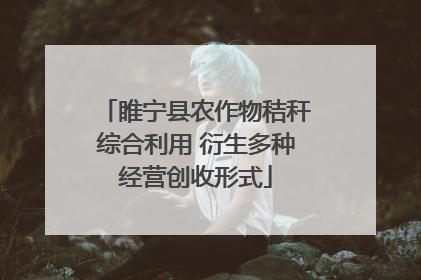 睢宁县农作物秸秆综合利用 衍生多种经营创收形式