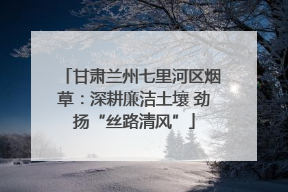 甘肃兰州七里河区烟草：深耕廉洁土壤 劲扬“丝路清风”