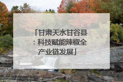 甘肃天水甘谷县：科技赋能辣椒全产业链发展