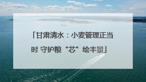 甘肃清水：小麦管理正当时 守护粮“芯”绘丰景