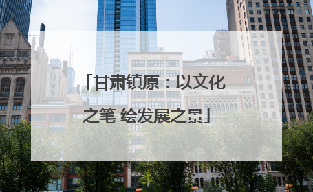 甘肃镇原：以文化之笔 绘发展之景