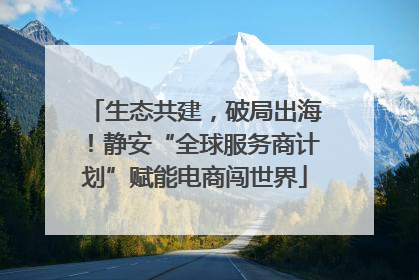 生态共建，破局出海！静安“全球服务商计划”赋能电商闯世界