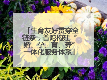 生育友好贯穿全链条，普陀构建“婚、孕、育、养”一体化服务体系