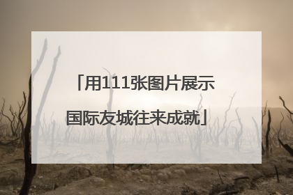 用111张图片展示国际友城往来成就
