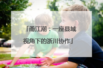 甬江潮：一座县域视角下的浙川协作
