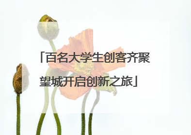 百名大学生创客齐聚望城开启创新之旅