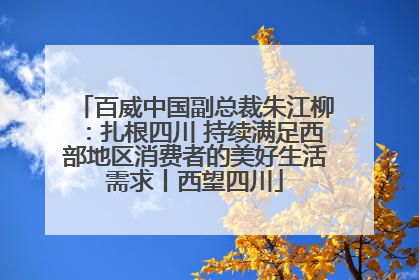 百威中国副总裁朱江柳：扎根四川 持续满足西部地区消费者的美好生活需求丨西望四川