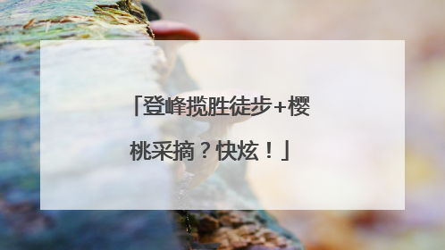 登峰揽胜徒步+樱桃采摘？快炫！