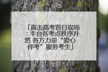 直击高考首日现场：丰台各考点秩序井然 各方力量“爱心伴考”服务考生