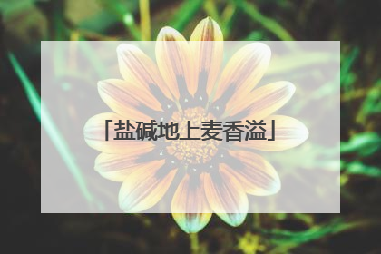 盐碱地上麦香溢