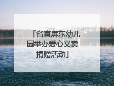 省直屏东幼儿园举办爱心义卖捐赠活动