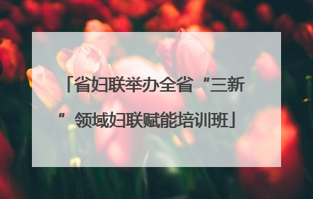 省妇联举办全省“三新”领域妇联赋能培训班