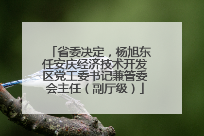 省委决定，杨旭东任安庆经济技术开发区党工委书记兼管委会主任（副厅级）