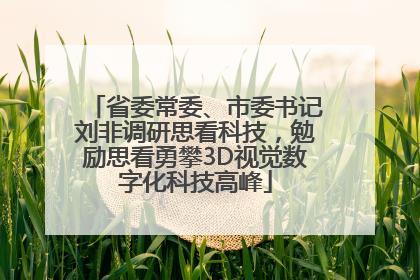 省委常委、市委书记刘非调研思看科技，勉励思看勇攀3D视觉数字化科技高峰