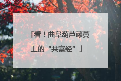 看！曲阜葫芦藤蔓上的“共富经”