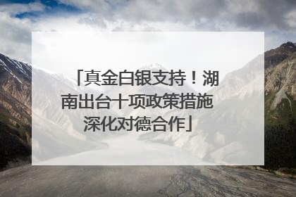 真金白银支持！湖南出台十项政策措施深化对德合作