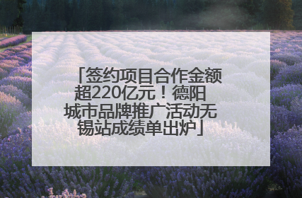 签约项目合作金额超220亿元！德阳城市品牌推广活动无锡站成绩单出炉