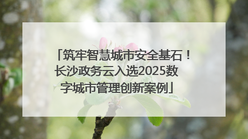 筑牢智慧城市安全基石！长沙政务云入选2025数字城市管理创新案例