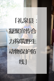 礼泉县：凝聚宣传合力构筑野生动物保护防线