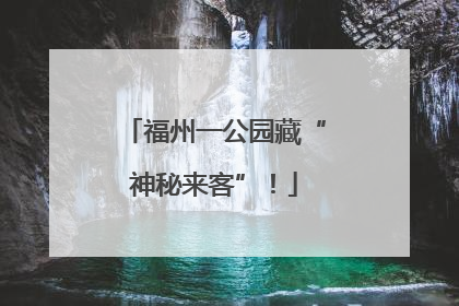 福州一公园藏“神秘来客”！
