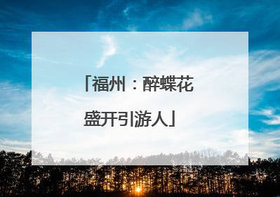 福州：醉蝶花盛开引游人