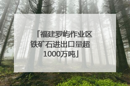 福建罗屿作业区铁矿石进出口量超1000万吨