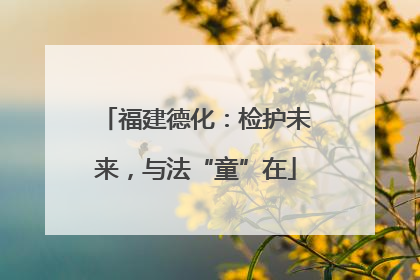 福建德化：检护未来，与法“童”在
