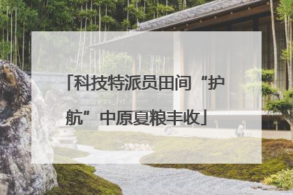 科技特派员田间“护航”中原夏粮丰收