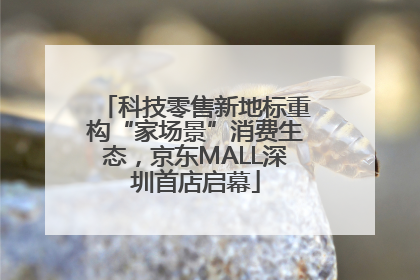 科技零售新地标重构“家场景”消费生态，京东MALL深圳首店启幕