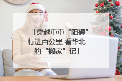 穿越重重“阻碍”行进百公里 看华北豹“搬家”记
